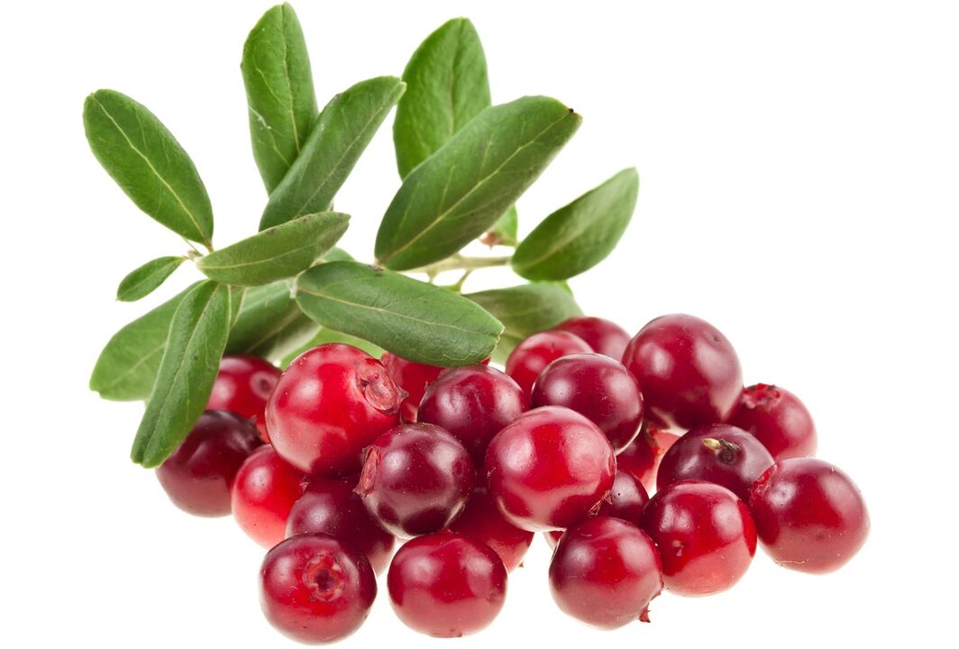 mirtillo rosso per il trattamento della cistite
