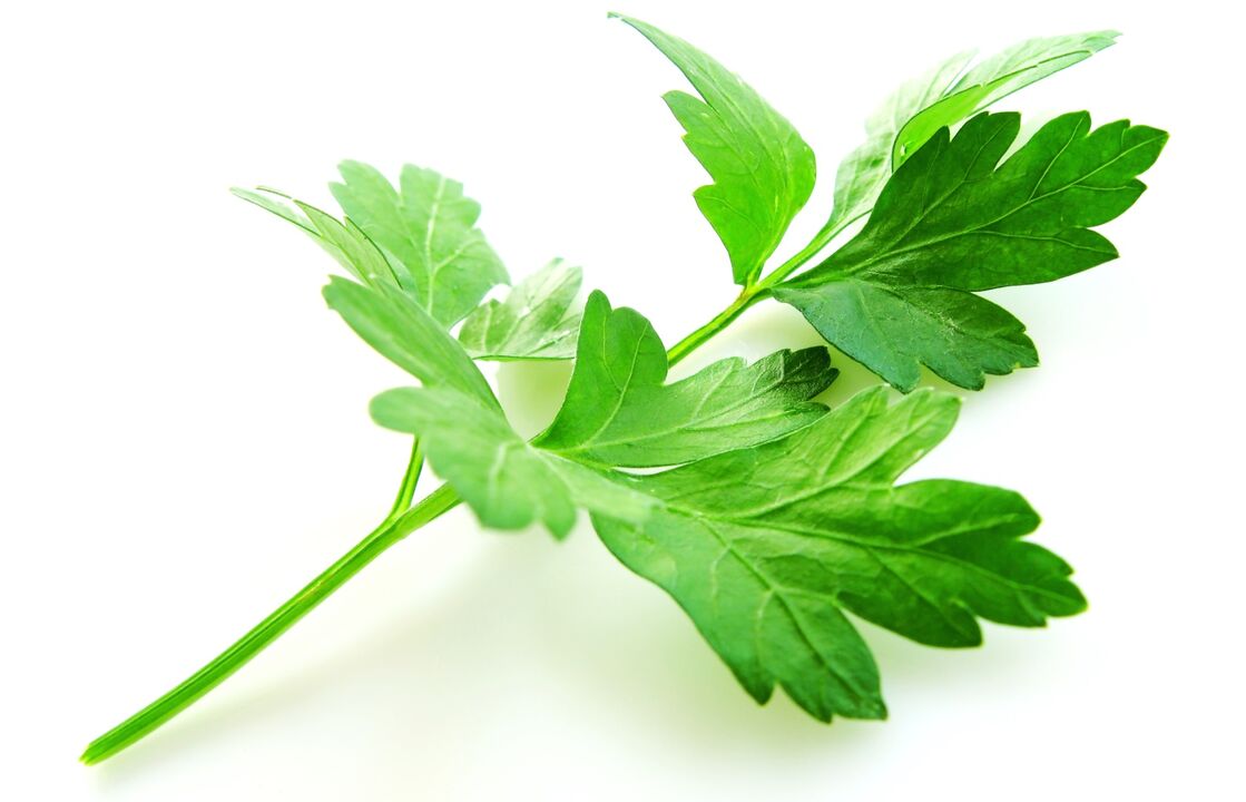 prezzemolo per il trattamento della cistite